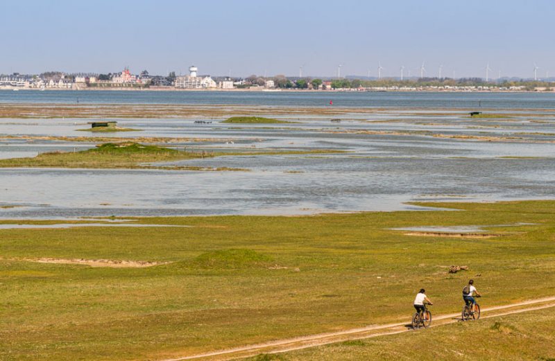 Grande marée en baie de Somme au Cap Hornu (Saint-Valery-sur-Somme)