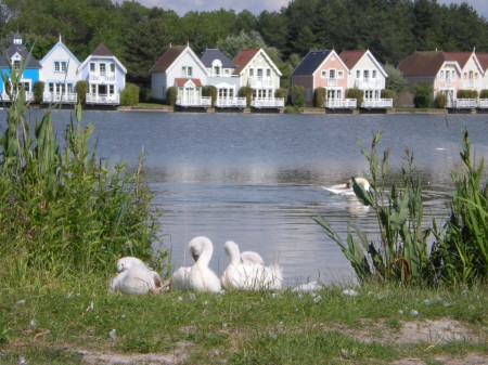 Belle Dune, Aquaclub, résidence, éco-village, mer, dunes, Baie de Somme, Fort Mahon, Quend Plage, golf, vacances, week end, tourisme